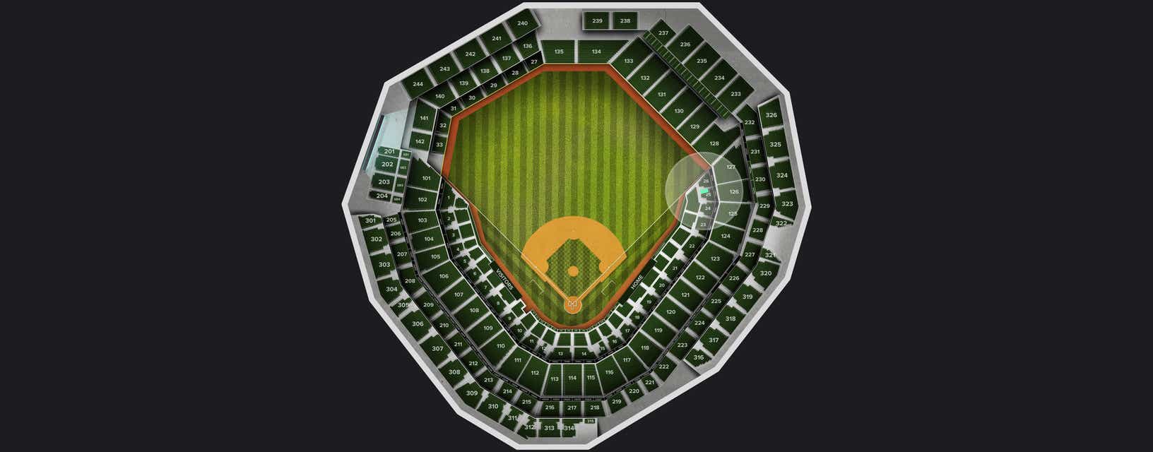 Seat view from Standing Room Only