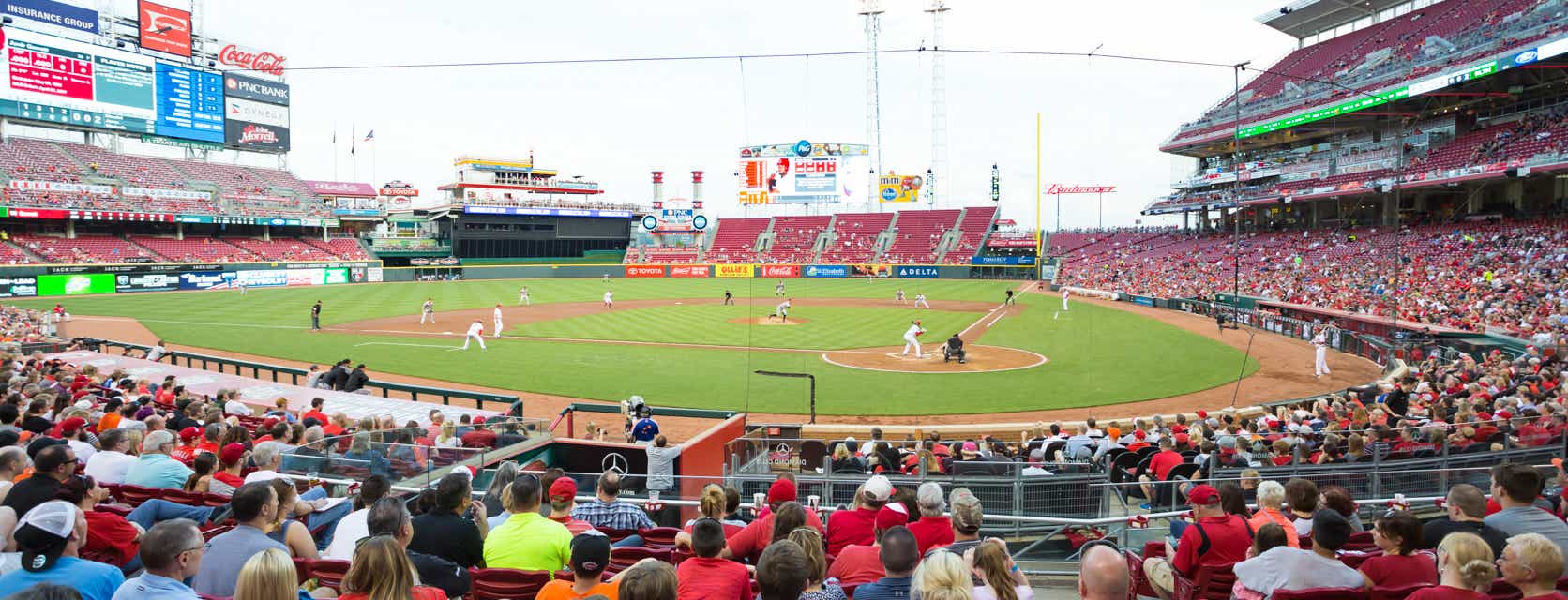 Seat view from Scout