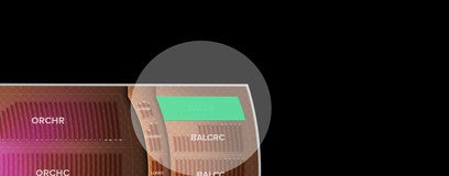 Seat view from Balcony Right