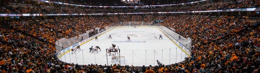 Seat view from Plaza Goal