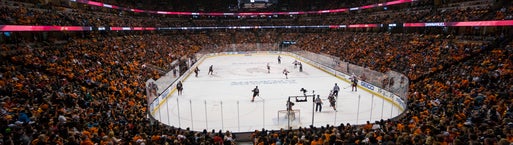 Seat view from Plaza Goal