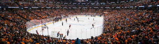 Seat view from Plaza Goal