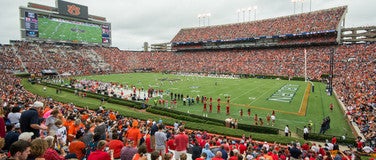 Seat view from Lower East Sideline