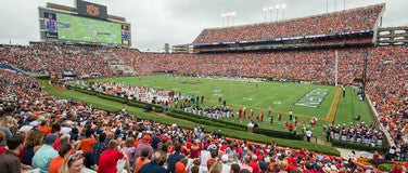 Seat view from Lower East Sideline