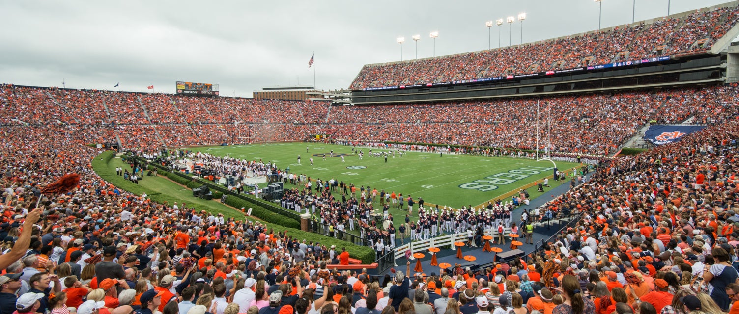 Seat view from Lower South Corner
