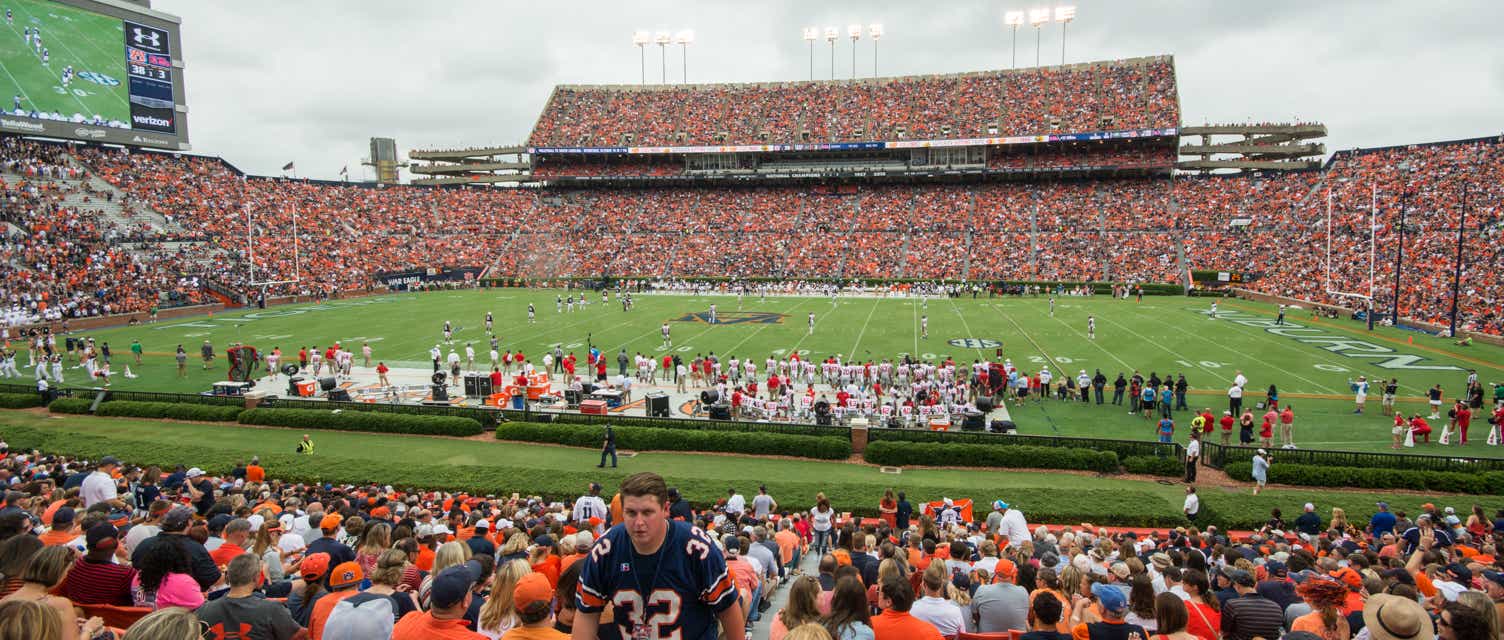 Seat view from Lower East Sideline