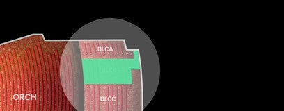 Seat view from Balcony