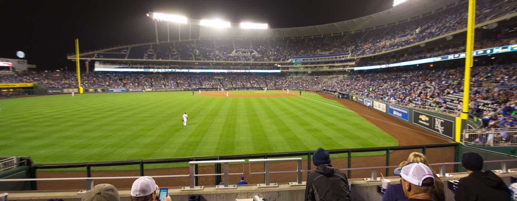 Seat view from Outfield Box