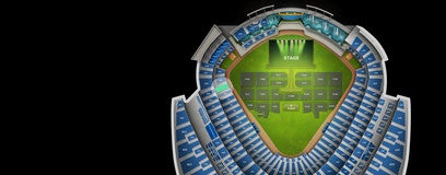 Seat view from Field Box