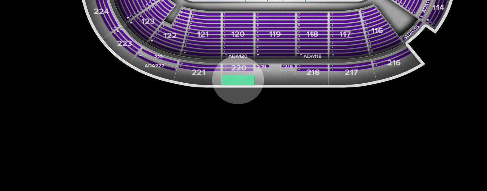 Seat view from Standing Room Only