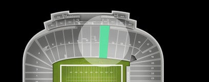 Seat view from Lower Sideline