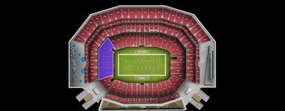 Seat view from 100 End