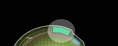 Seat view from General Admission