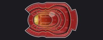 Seat view from 