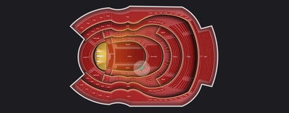 Seat view from 