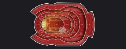 Seat view from 