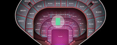 Seat view from Main
