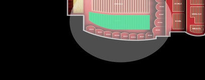 Seat view from 