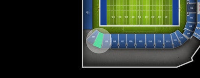 Seat view from 130