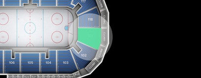 Seat view from 100 Level