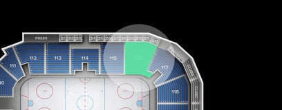 Seat view from 100 Level