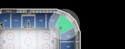 Seat view from 100 Level