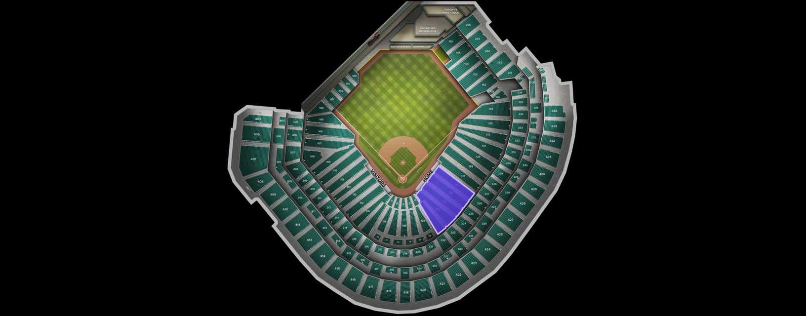 Seat view from Dugout Box