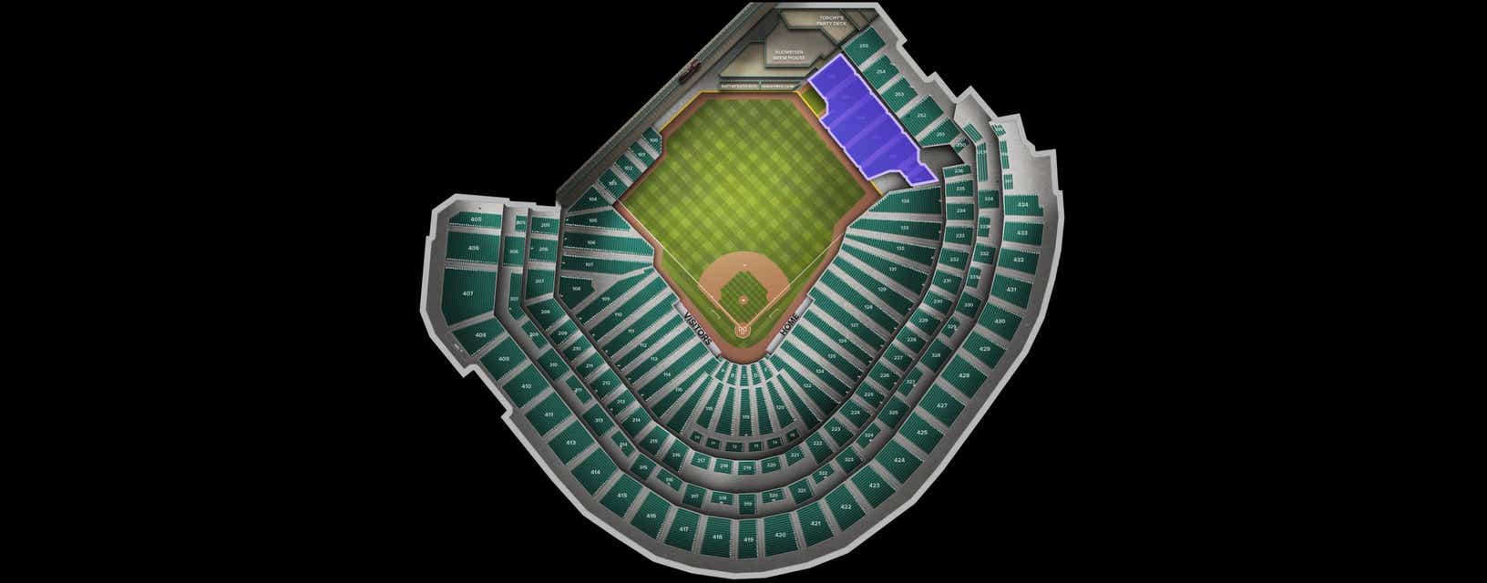 Seat view from Bullpen Box