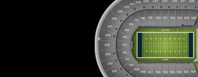 Seat view from General Admission