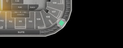 Seat view from Loge