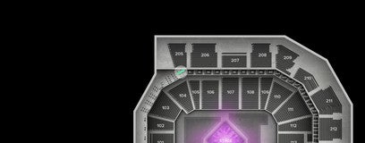 Seat view from Loge