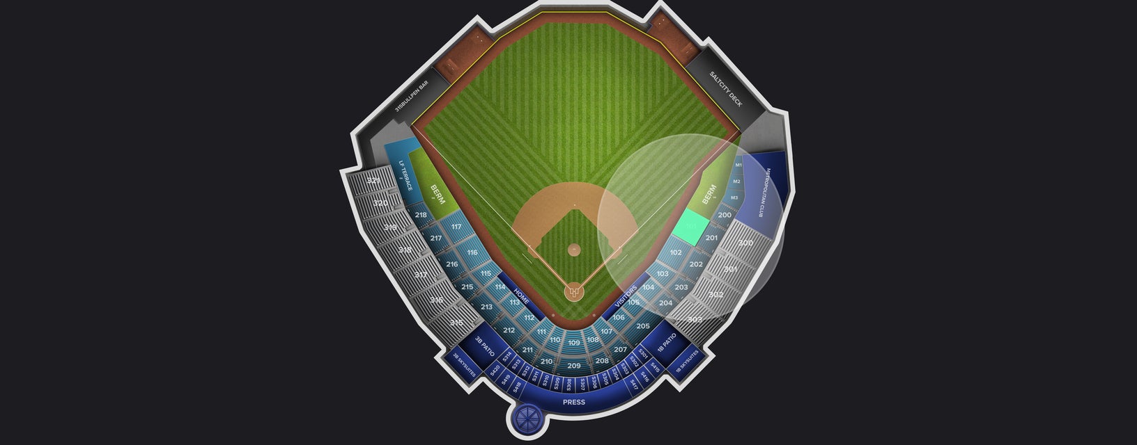 Seat view from Field Box
