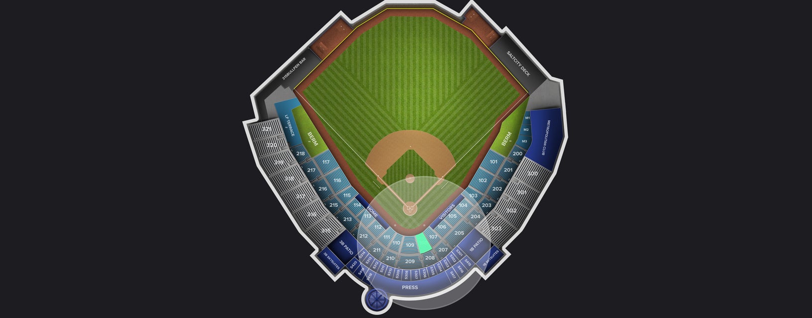 Seat view from Field Box