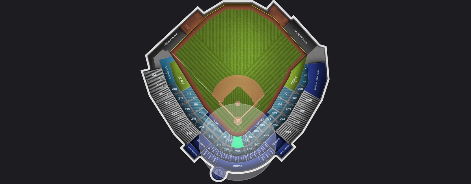 Seat view from Field Box
