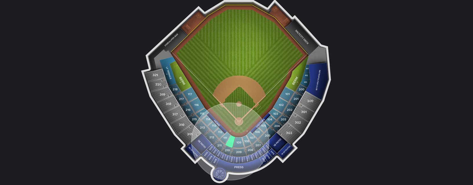 Seat view from Field Box