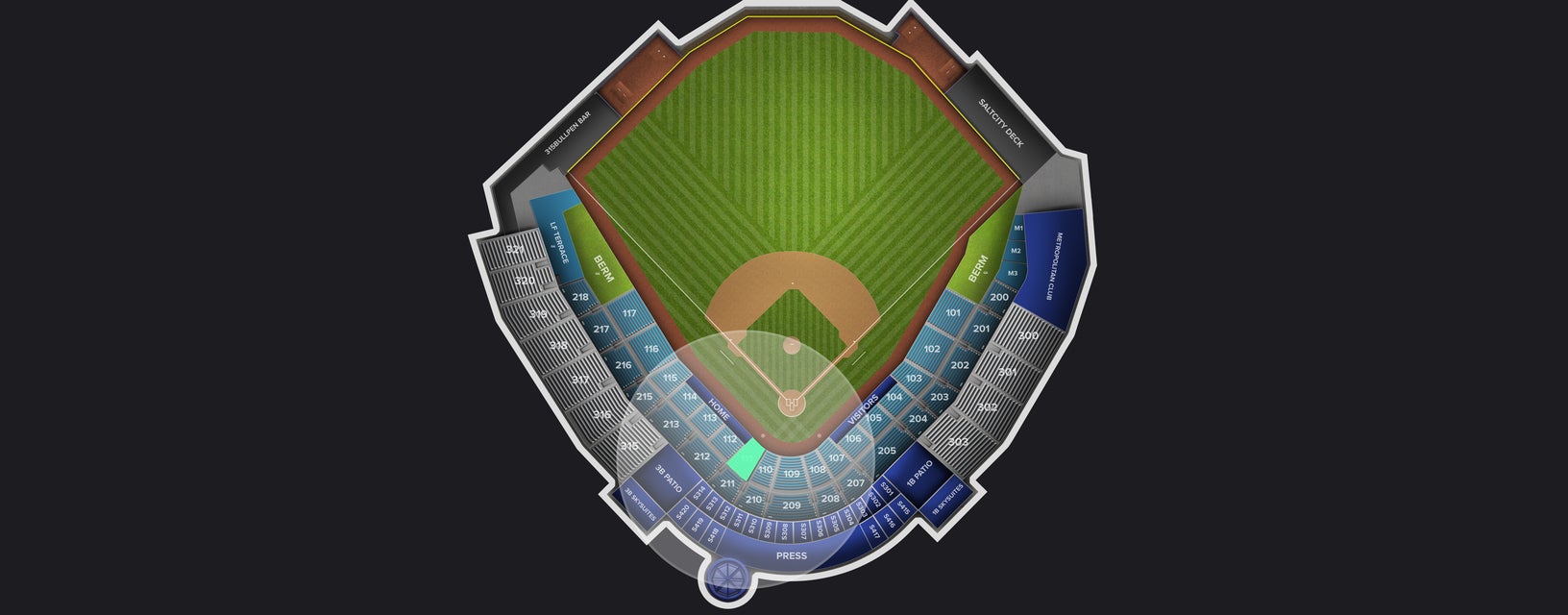 Seat view from Field Box