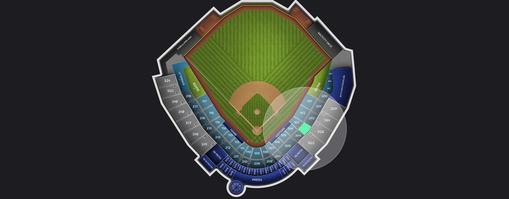 Seat view from Reserved Box