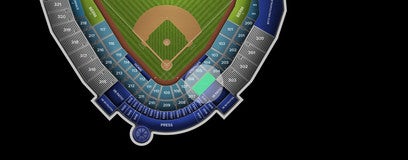 Seat view from Reserved Box