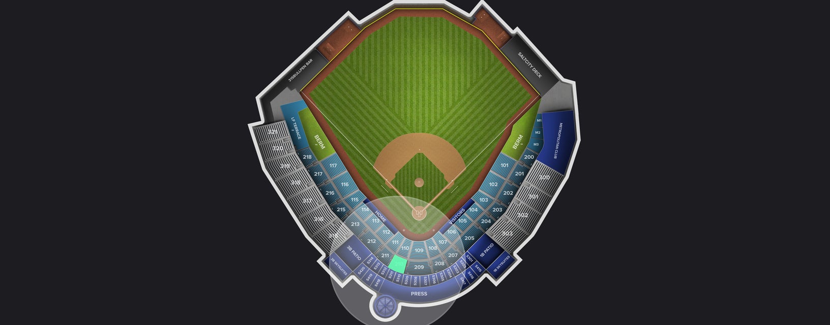 Seat view from Reserved Box