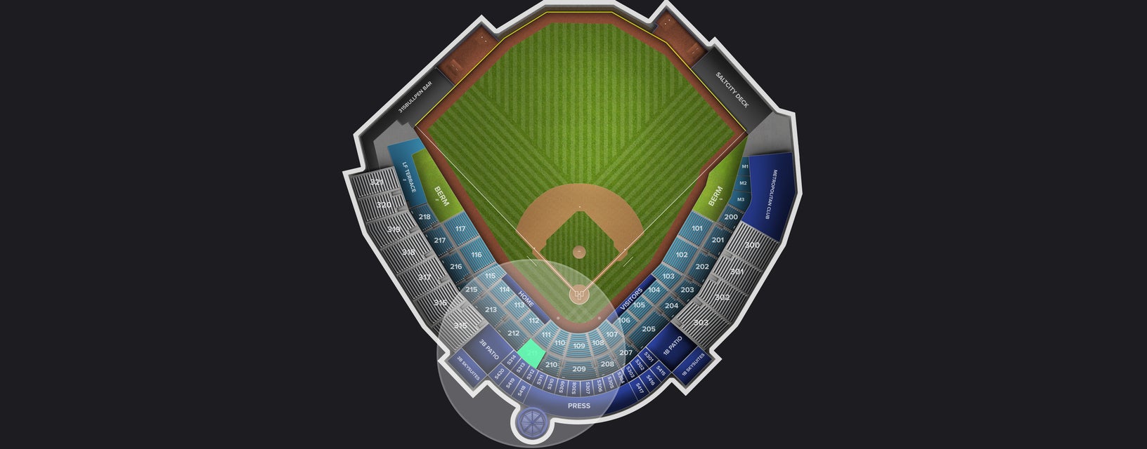 Seat view from Reserved Box