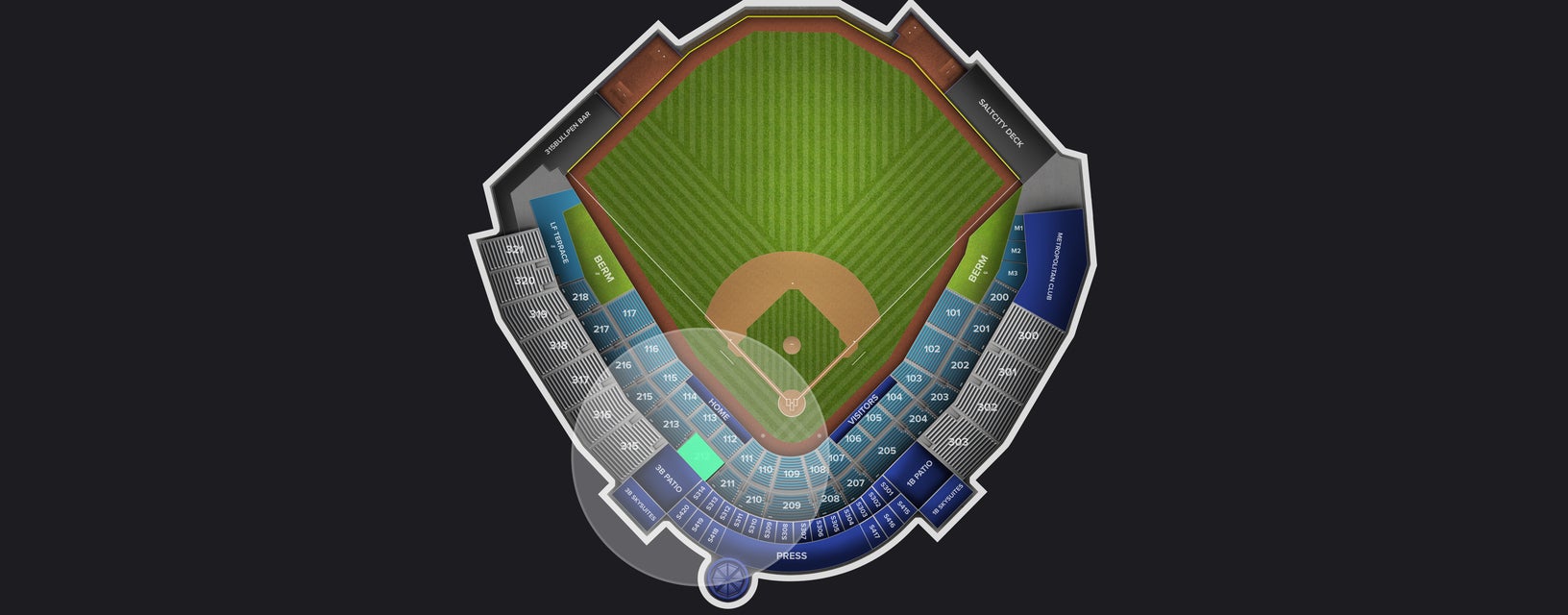 Seat view from Reserved Box