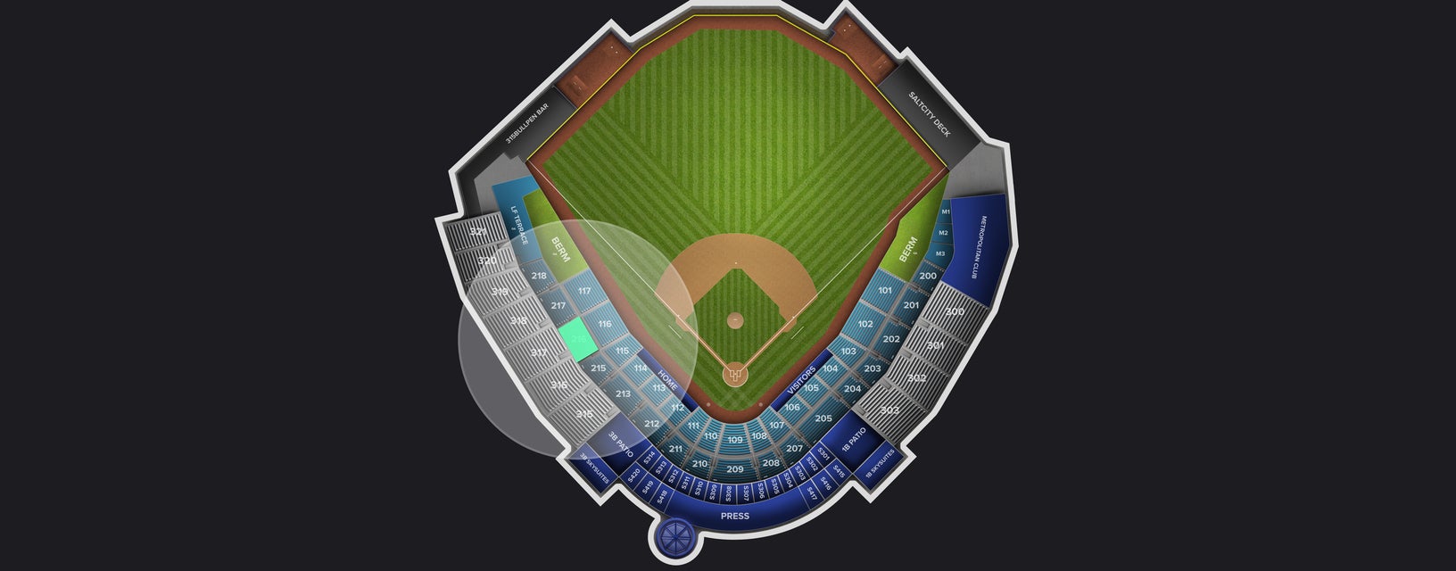 Seat view from Reserved Box