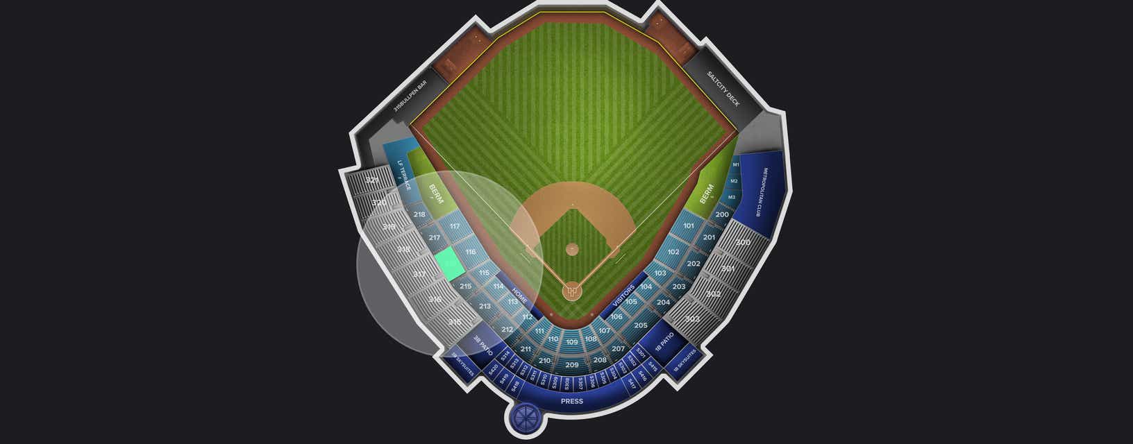 Seat view from Reserved Box