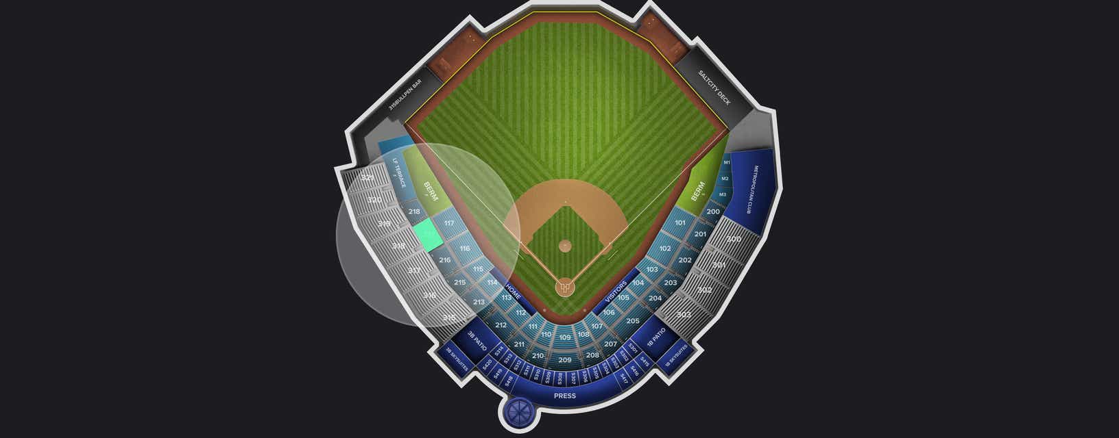 Seat view from Reserved Box