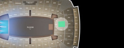 Seat view from 113