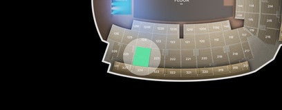 Seat view from 224