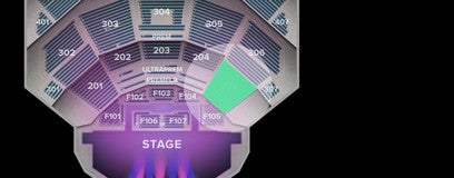 Seat view from Lower Orchestra