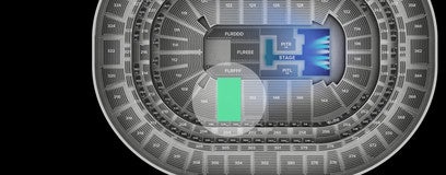 Seat view from Center Loge