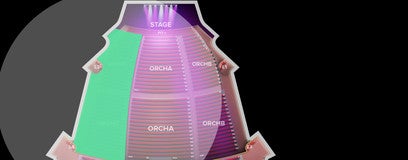 Seat view from Orchestra