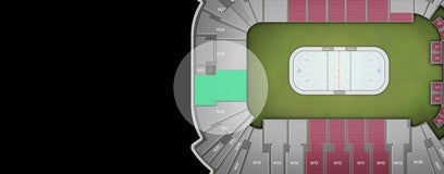 Seat view from Redzone